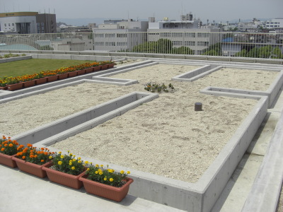 e0020945_11384190.jpg