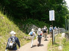 ブルーベリーとオオムラサキの里大会下見_f0019247_22554555.jpg