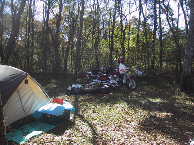 f0046250_1005957.jpg
