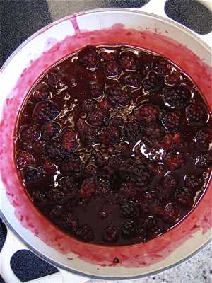 blackberry cobbler --- recipe_d0104660_3215752.jpg
