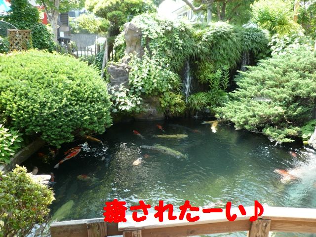 c0134862_1916337.jpg