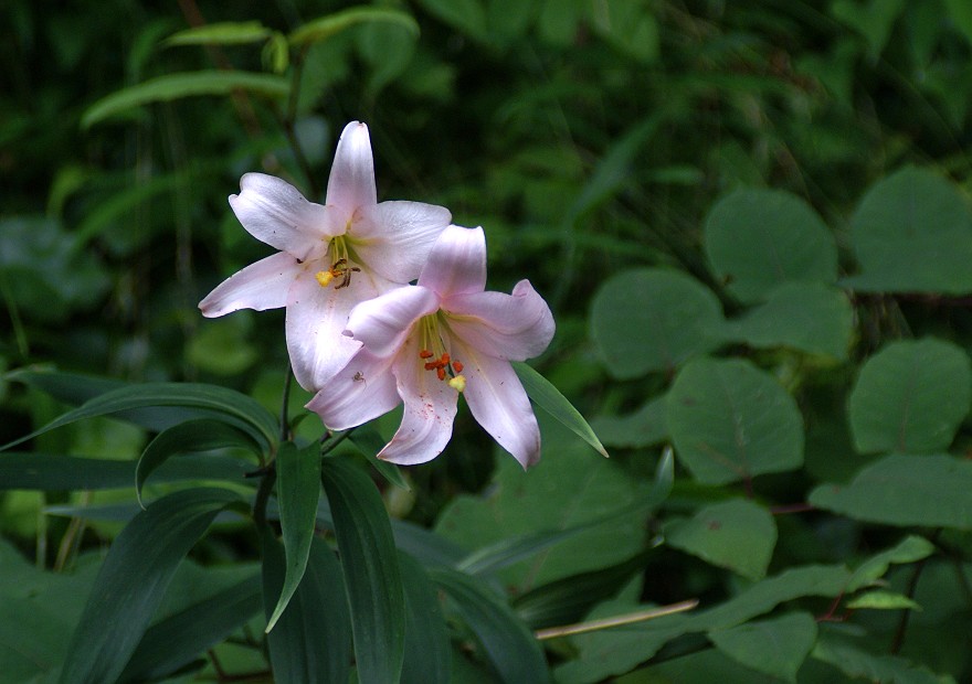 b0039170_222272.jpg