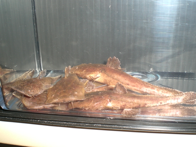 e0143096_16514982.jpg