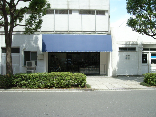 自転車店のはしご_f0153098_1154594.jpg