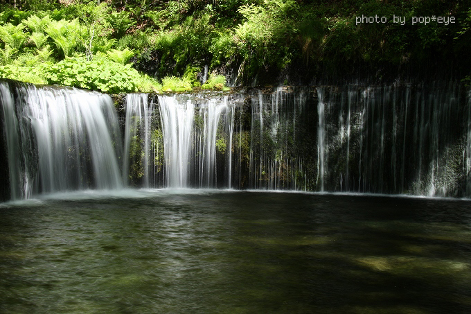 白糸の滝_b0058608_2145838.jpg