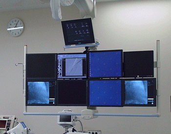 a0055913_23161759.gif