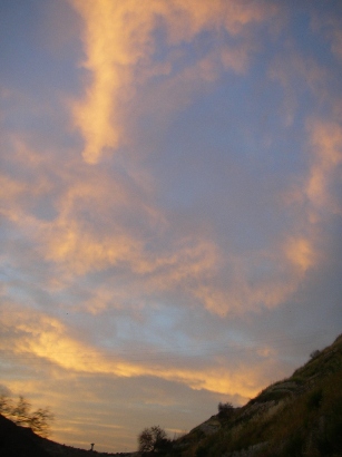 f0133814_81842.jpg