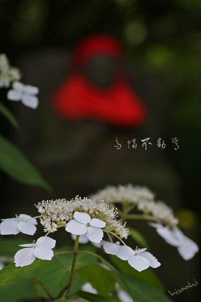 f0167219_5515477.jpg