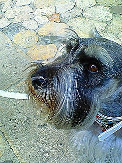 c0153740_2163438.jpg