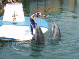 d0048350_1919154.jpg