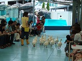 d0048350_19215598.jpg