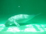 d0048350_19234861.jpg