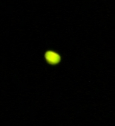 a0085574_14323953.jpg