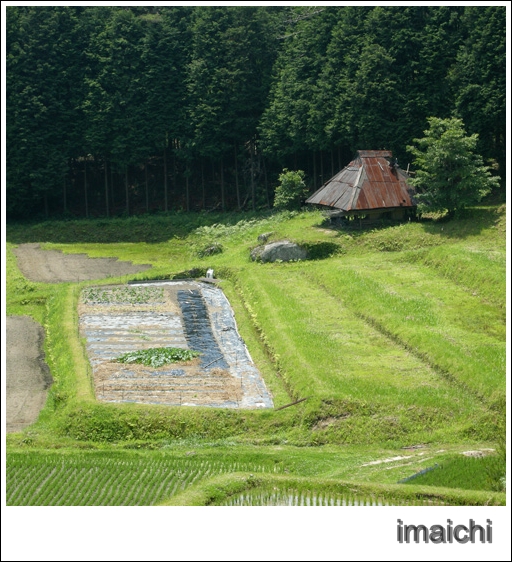 小屋のある風景_c0054876_19223358.jpg