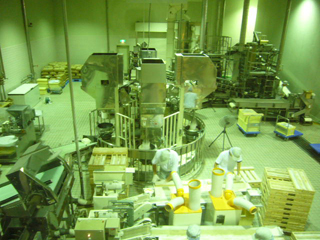 f0091282_231369.jpg