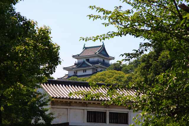 2008.06.19　和歌山城の歴史　①　　　　　_f0140087_12122073.jpg