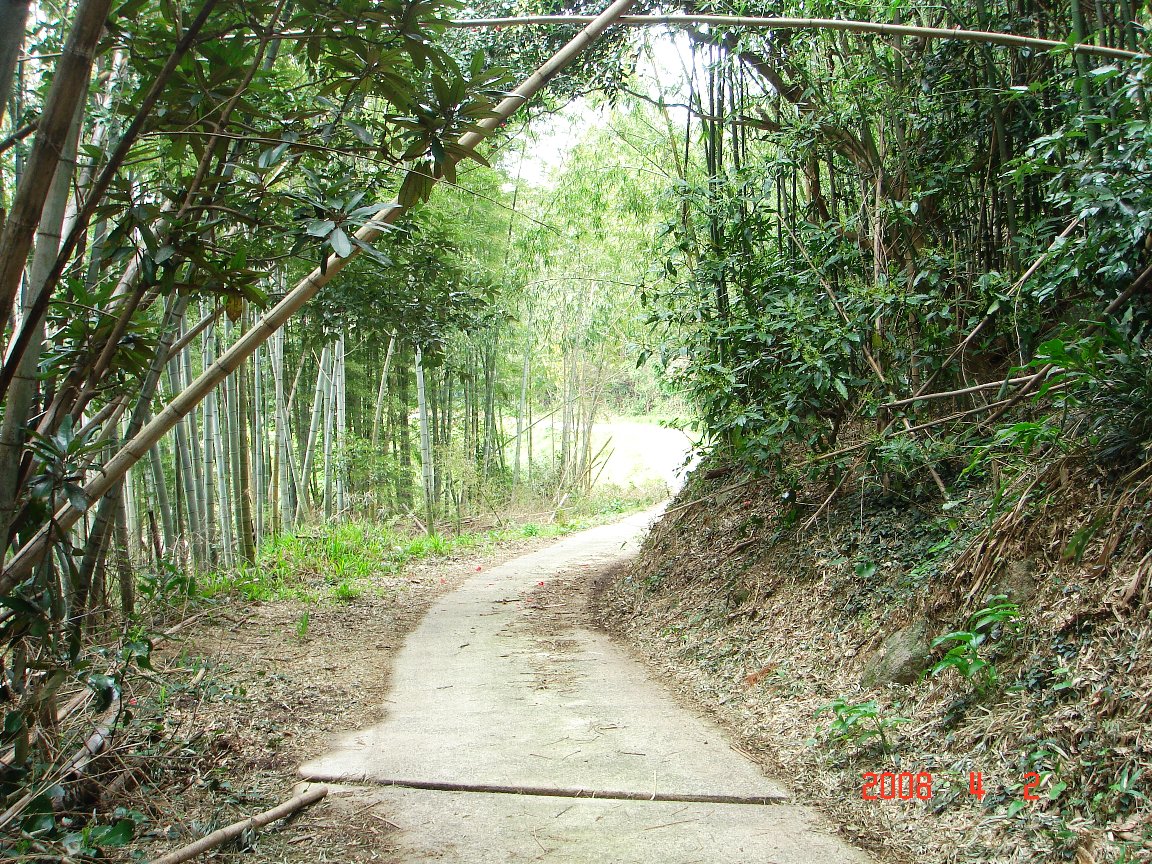 6.深江宿～浜崎宿～唐津城下(ゴール)_e0131720_23355647.jpg