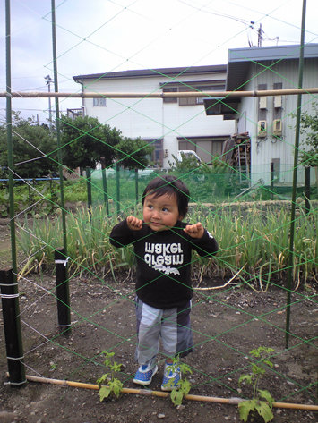 d0129922_17245067.jpg