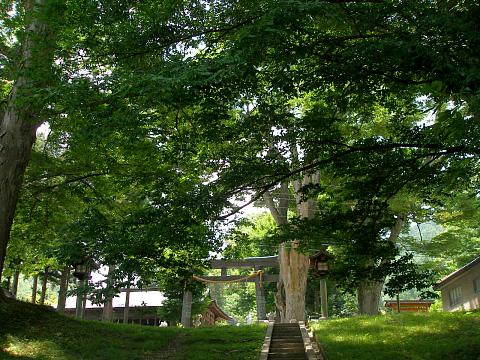 諏訪大社上社前宮　巨木の杜と古代ロマンを訪ねて_d0102327_135236.jpg