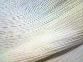 d0048332_20213289.gif