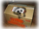 ブツ_c0113733_0112278.jpg