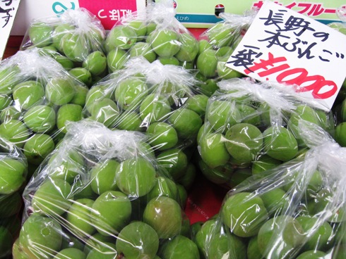 梅の時期ですね!(よしざわ青果店)_b0140235_9554750.jpg