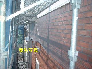 養生作業_f0031037_18525434.jpg