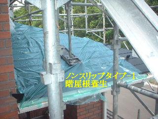養生作業_f0031037_18531967.jpg