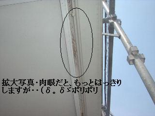 養生作業_f0031037_18554611.jpg