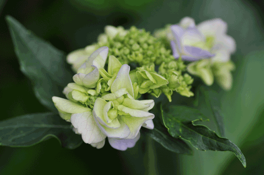 c0093046_6524928.gif
