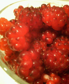 f0088647_11193875.jpg
