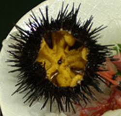 c0151053_17225621.jpg