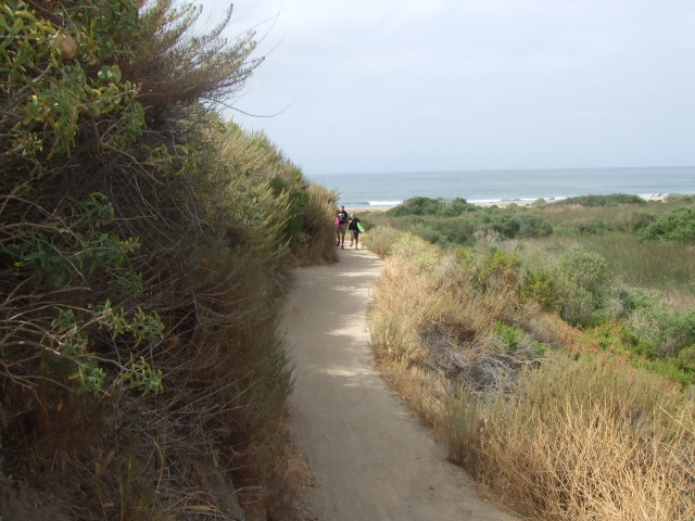 f0172157_16143922.jpg