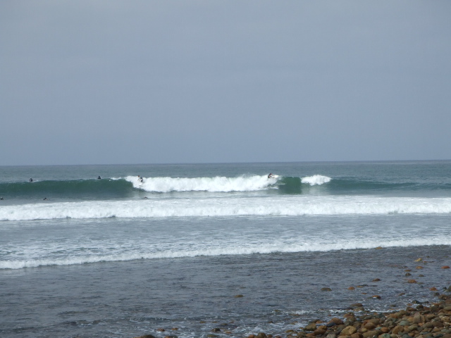 f0172157_16151217.jpg