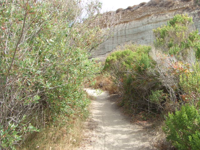f0172157_1615134.jpg