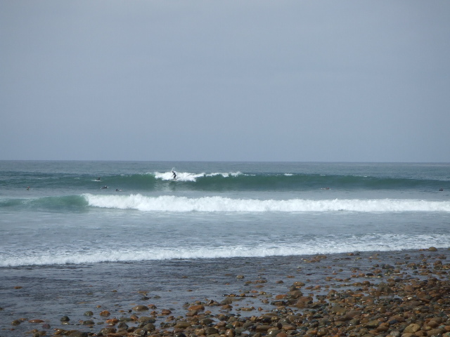f0172157_16154029.jpg
