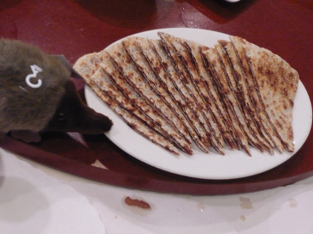 c0123668_33180.jpg