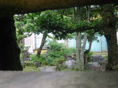d0094868_1050955.gif