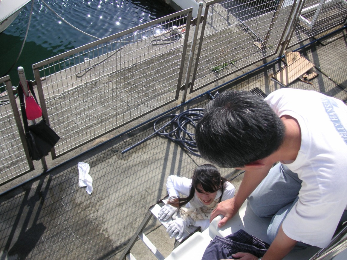 a0086885_1643139.jpg