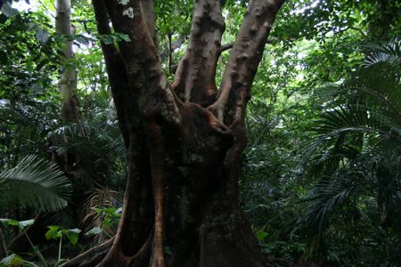 f0087787_1784273.jpg