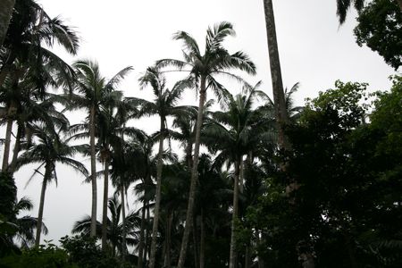 f0087787_1785492.jpg