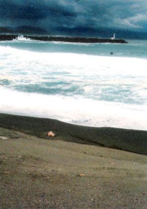 c0100988_5475156.jpg