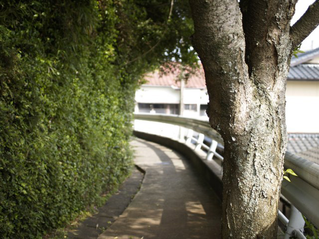 e0088494_2321322.jpg