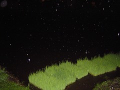 c0052304_23151480.jpg