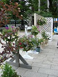 f0170524_1744679.jpg
