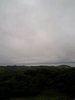 c0059543_1394034.jpg