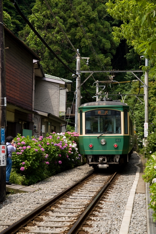 極楽寺駅周辺の紫陽花　（鎌倉）_c0115948_1685279.jpg