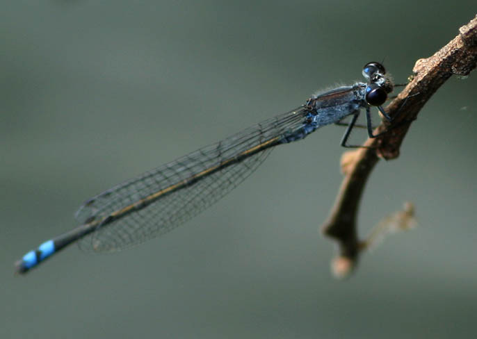 d0146854_21544065.jpg