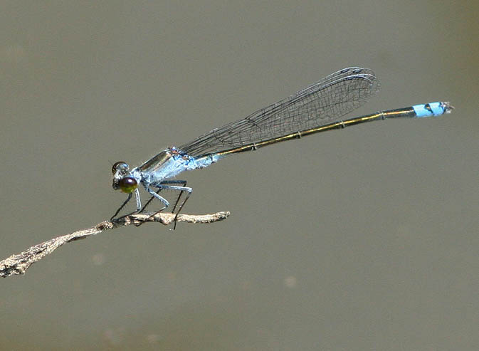 d0146854_21583828.jpg
