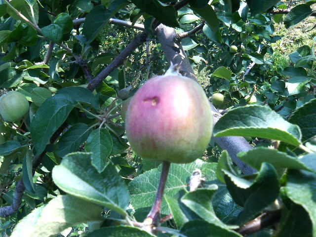 f0104457_4413970.jpg